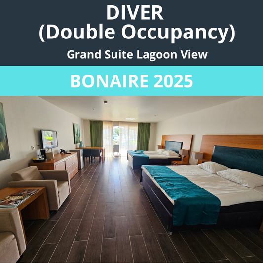 Bonaire 2025 Diver Double Occupancy