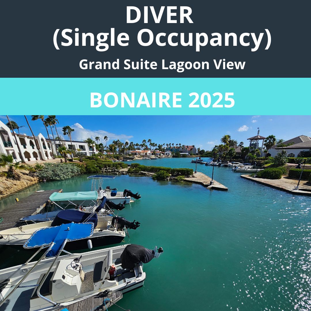 Bonaire 2025 Diver SINGLE Occupancy