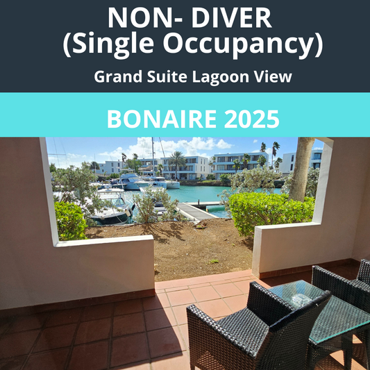 Bonaire 2025 NON-Diver Single Occupancy