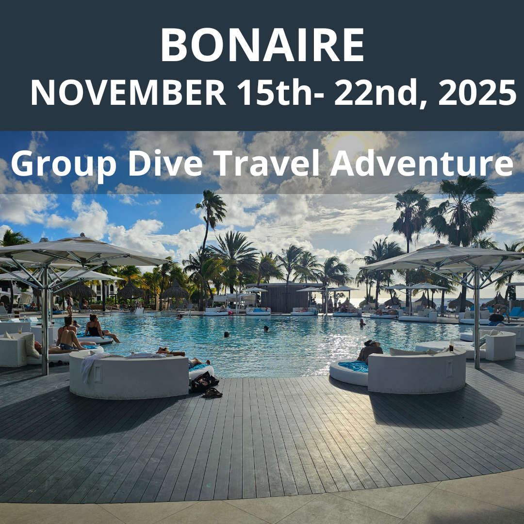 Bonaire 2025 Dive Travel