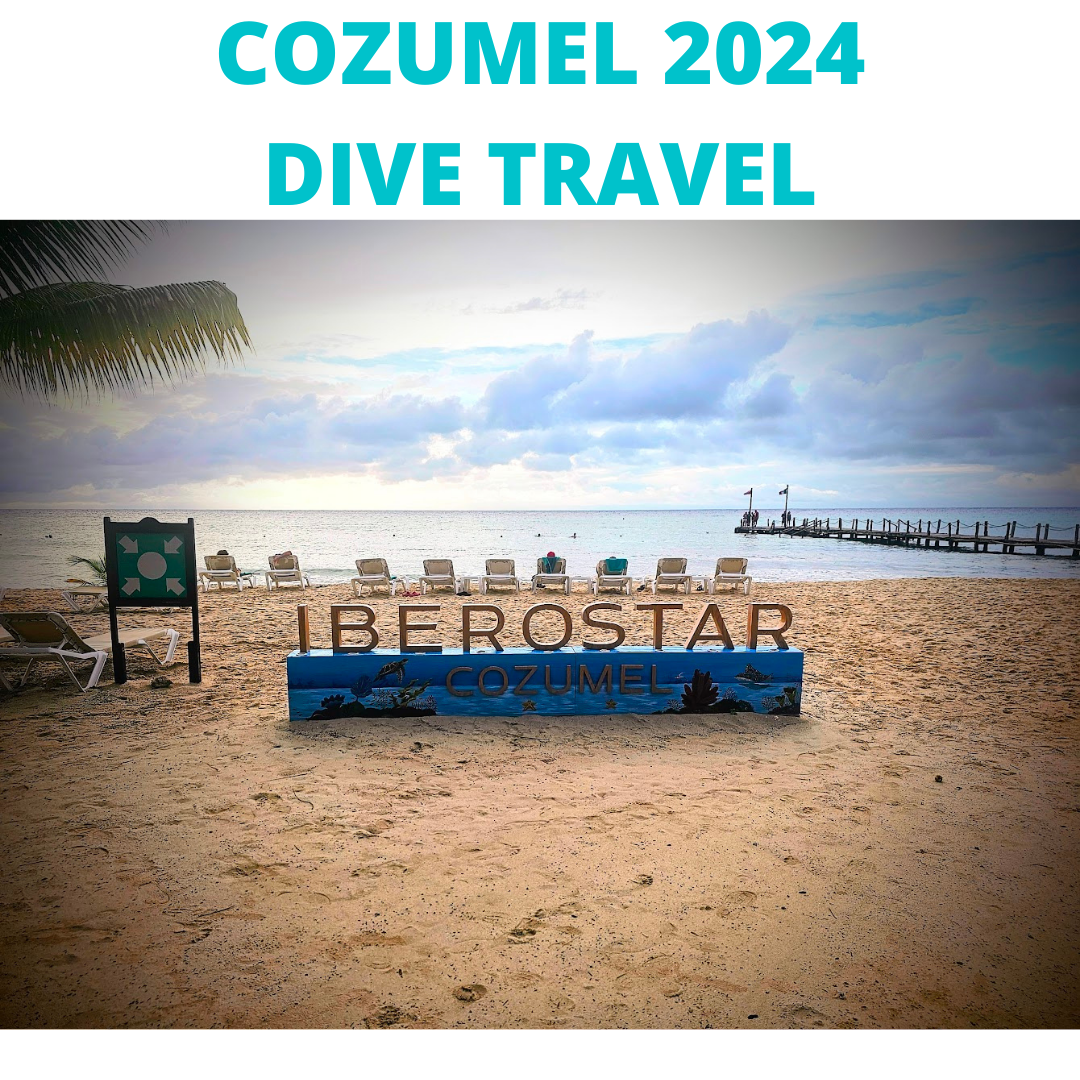 Cozumel 2024 Dive Travel