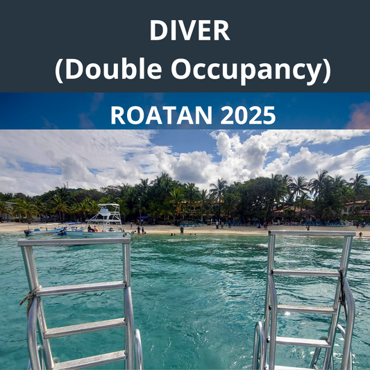 Roatan 2025 Diver Double Occupancy