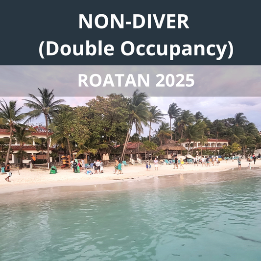 Roatan 2025 NON-Diver Double Occupancy