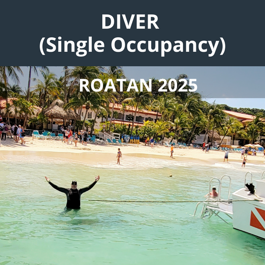 Roatan 2025 Diver SINGLE Occupancy