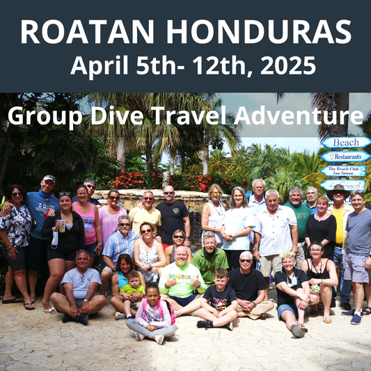 Roatan 2025 Dive Travel