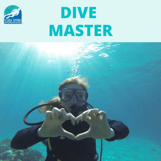 New England Dive Custom NED SDI Divemaster NED SDI Divemaster